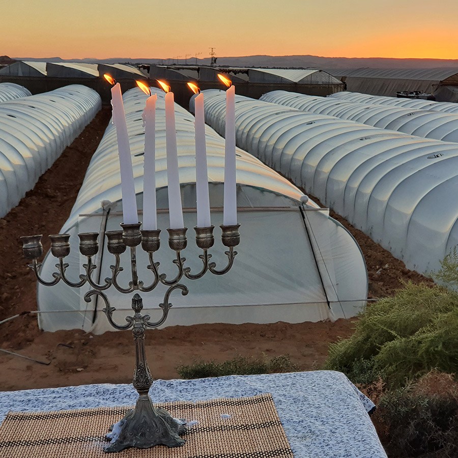 hilli-arava תמונה מכם: היא-לי בלוך הדליקה נר רביעי בחממות שבערבה התיכונה