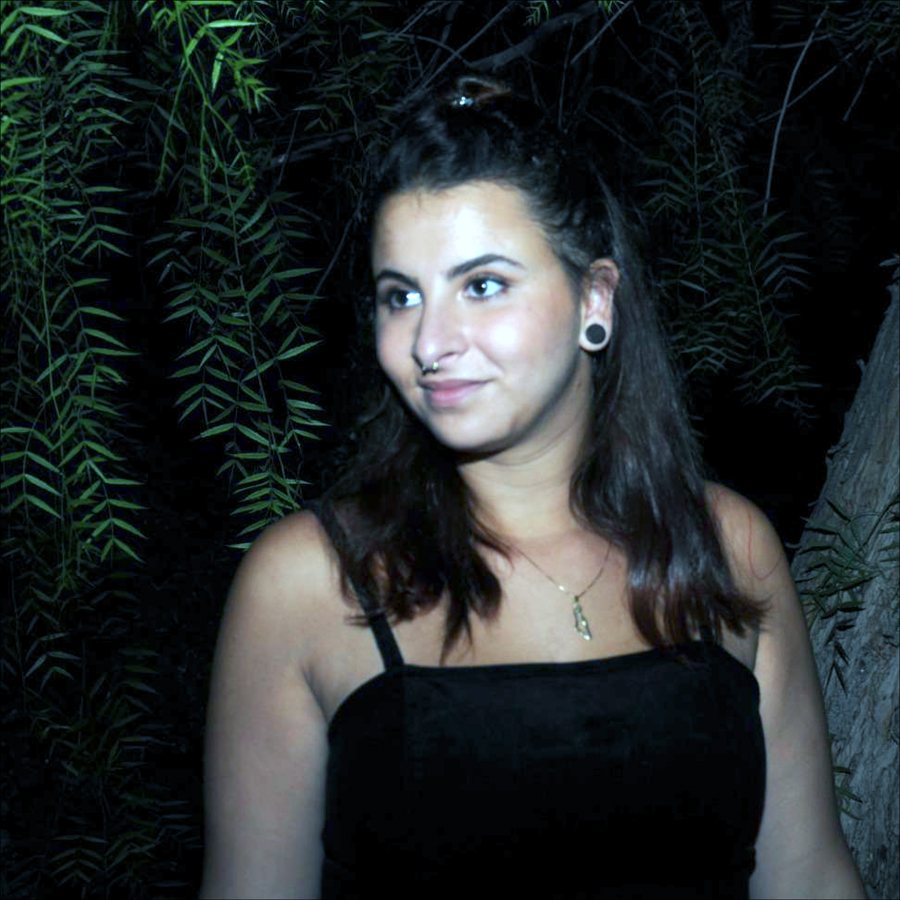 Noam, Summer Camp Shlichah