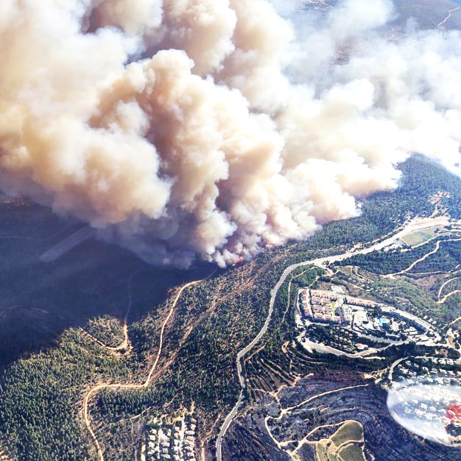 The August Wildfires in Israel